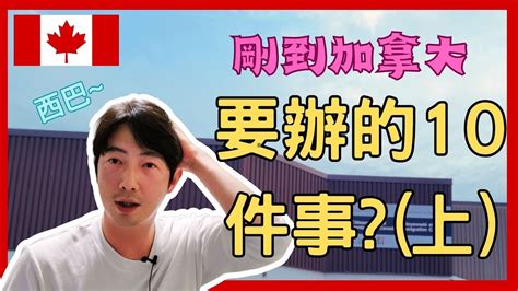 鸚鵡小木屋爭議|要注意！千萬別對鸚鵡做這10件事！NG行為讓鳥寶漸漸害怕你！。